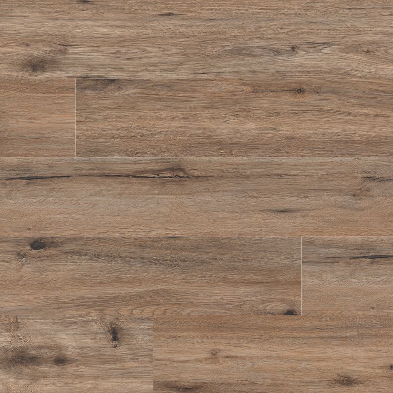 Msi Vinyl Flooring Cyrus Collection 5mm With Backing Color Fauna